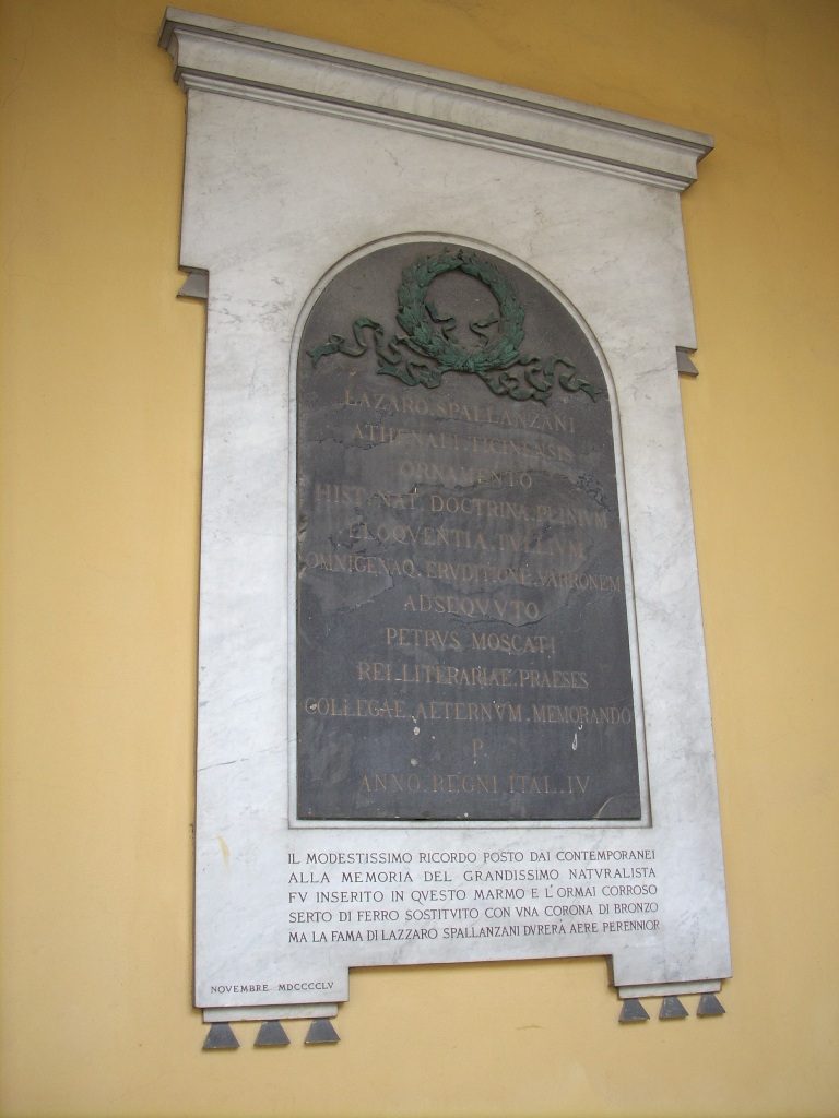 Lazzaro%20Spallanzani%20memorial%20tablet%2C%20University%2C%20Pavia%20-%201.jpg